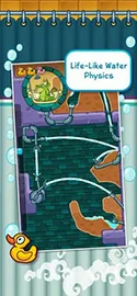 screen