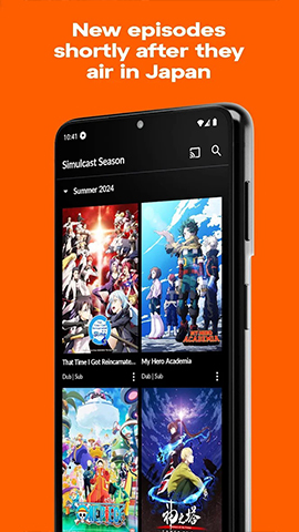screen