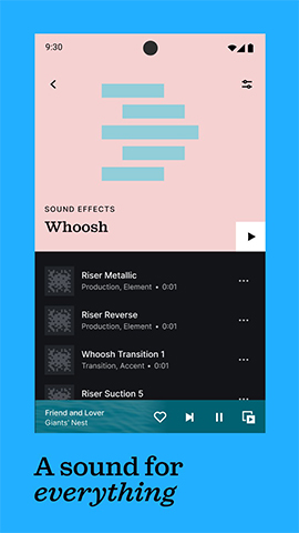 screen