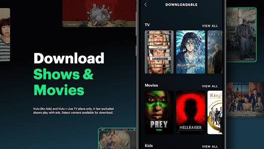 screen