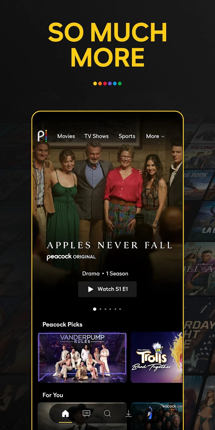 screen